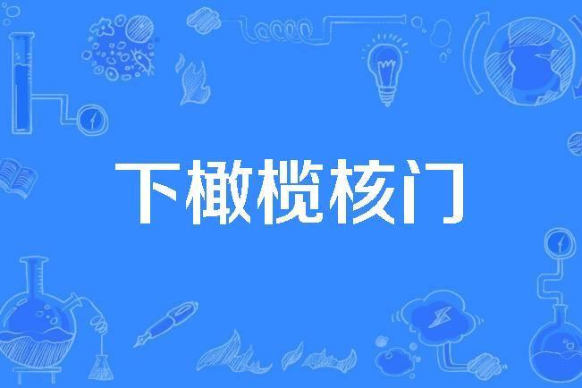 下橄欖核門 下橄欖核門