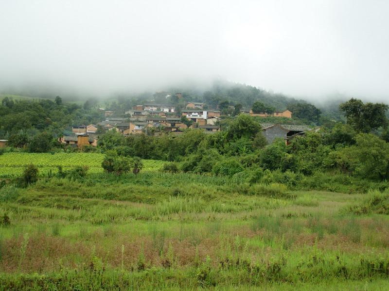 甲已己村 甲已己村
