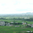 白馬村(廣東省茂名市電白區麻崗鎮白馬村)