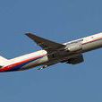 MH370(馬航MH370)