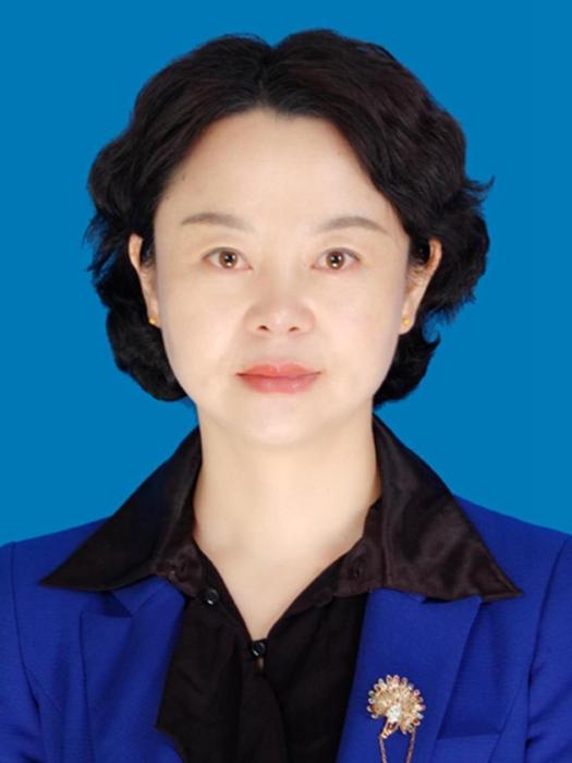 林麗麗(甘肅省定西市機關事務管理局黨組成員、副局長) 林麗麗(甘肅省定西市機關事務管理局黨組成員、副局長)