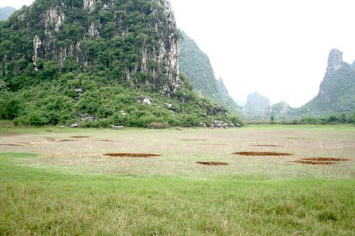 長龍村(黑龍江省哈爾濱市方正縣寶興鄉下轄村) 長龍村(黑龍江省哈爾濱市方正縣寶興鄉下轄村)