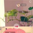 歡樂拍照 歡樂拍照