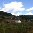 老楊家村 老楊家村