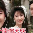 佳偶天成(1990年張國強、關詠荷主演電視劇) 佳偶天成(1990年張國強、關詠荷主演電視劇)