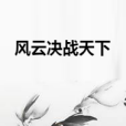 風雲決戰天下 風雲決戰天下