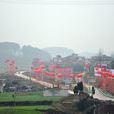 樟柏村 樟柏村