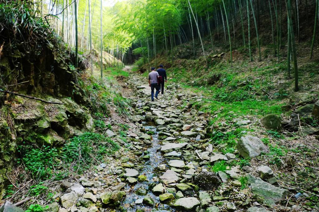 富金岕