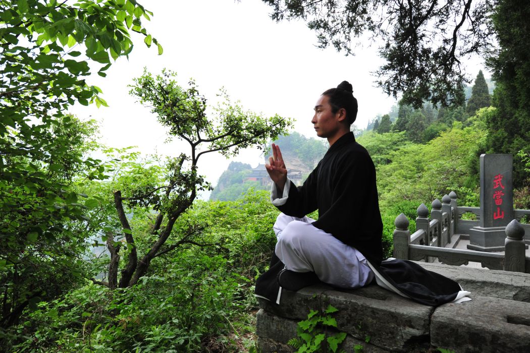 鄧小坤(武當三豐派第十五代傳承人、武當山非物質文化遺產傳承人) 鄧小坤(武當三豐派第十五代傳承人、武當山非物質文化遺產傳承人)