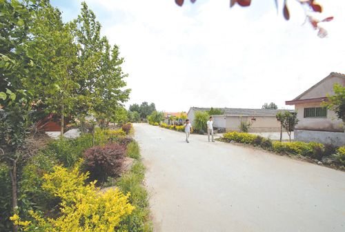 毛家嶺村(山東省膠南市九龍鎮下轄村) 毛家嶺村(山東省膠南市九龍鎮下轄村)