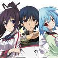 無限斯特拉托斯2(Infinite Stratos 2) 無限斯特拉托斯2(Infinite Stratos 2)