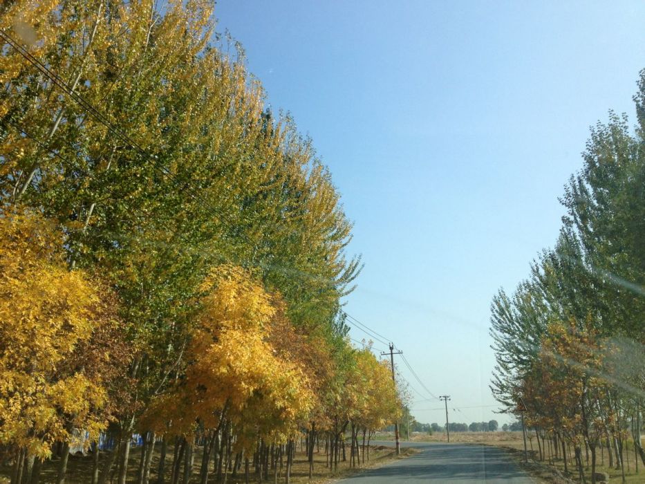 暖泉農場 暖泉農場