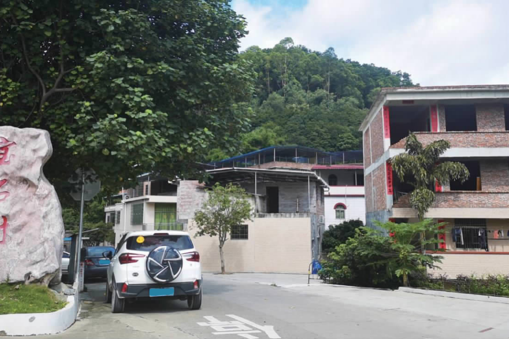 寶石村(廣州市黃埔區新龍鎮金坑村下屬自然村)
