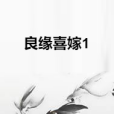 良緣喜嫁1 良緣喜嫁1