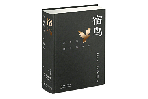宿鳥(2023年長江文藝出版社出版的圖書) 宿鳥(2023年長江文藝出版社出版的圖書)