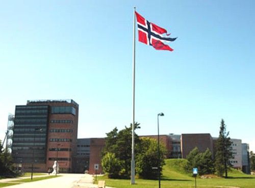 挪威阿哥德大學