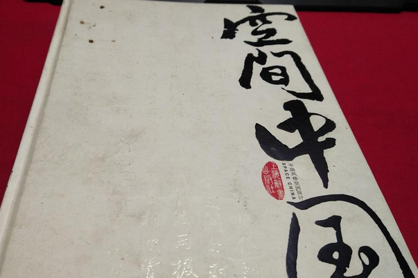 空間中國(2007年上海辭書出版社出版的圖書) 空間中國(2007年上海辭書出版社出版的圖書)