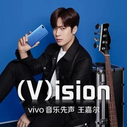 (V)ision (V)ision