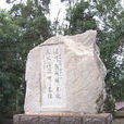 勝利公園(滄州市公園) 勝利公園(滄州市公園)