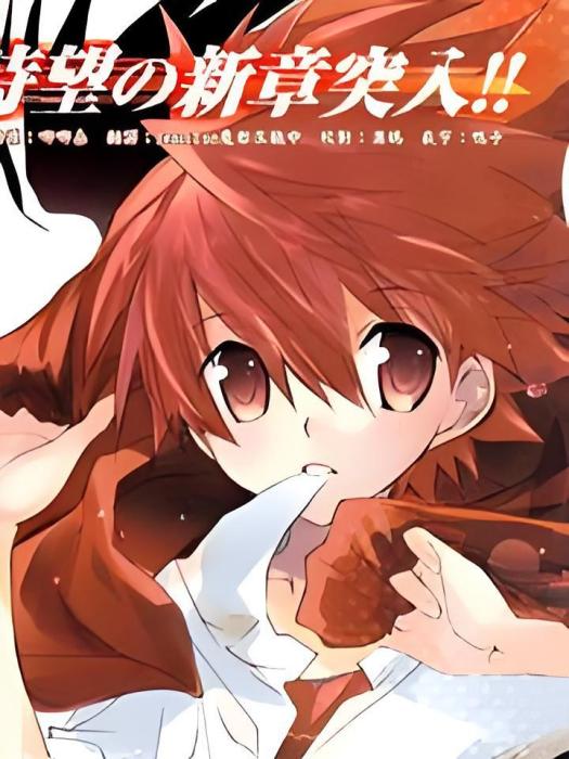 天使怪盜S4 天使怪盜S4