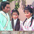 癲鳳狂龍(1982年趙雅芝主演TVB古裝電視劇)