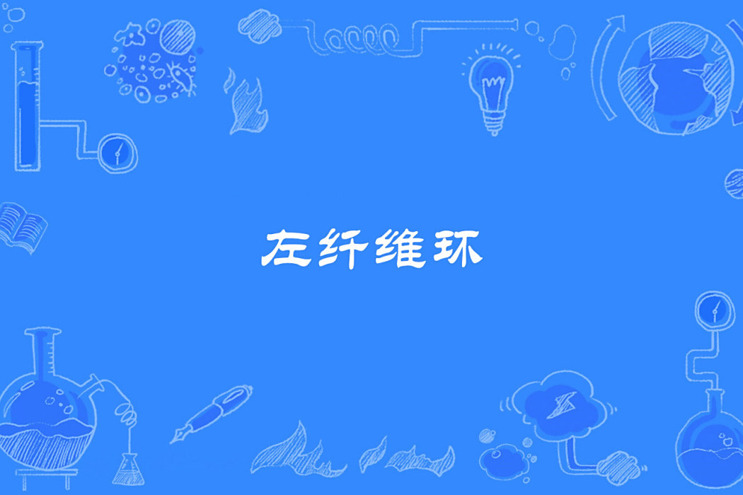 左纖維環 左纖維環