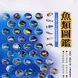 魚類圖鑑 魚類圖鑑