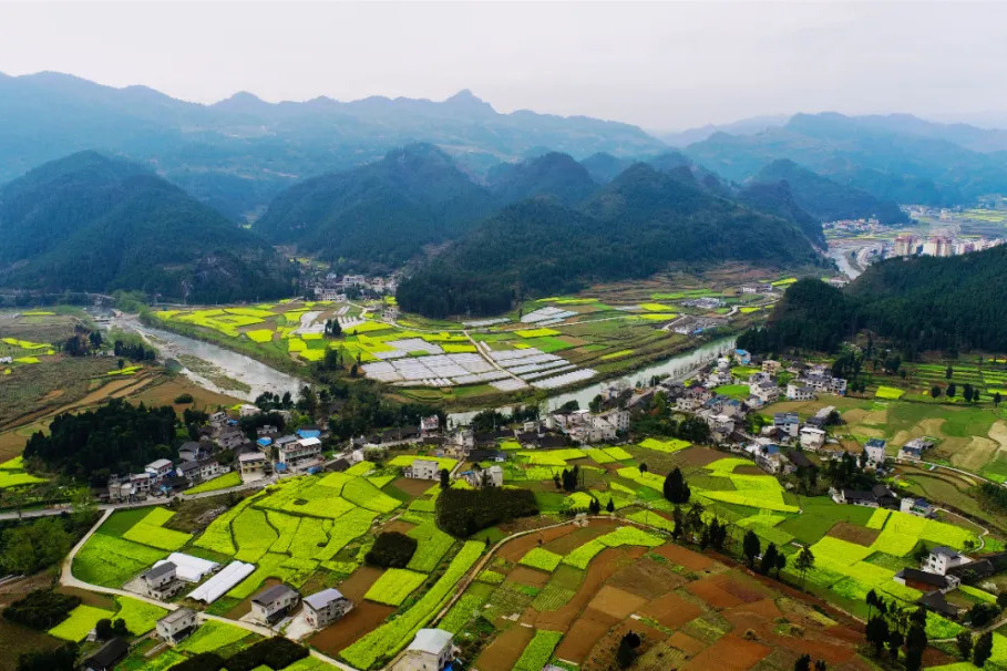 魚良溪村 魚良溪村