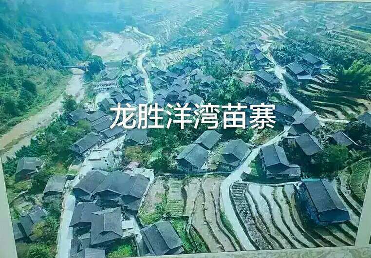 洋灣村(洋灣)