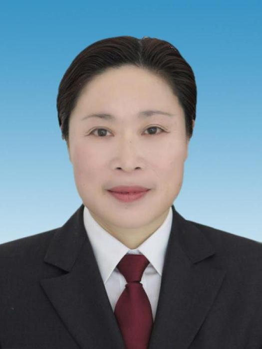 李慧(江西省吉安市應急管理局四級調研員) 李慧(江西省吉安市應急管理局四級調研員)