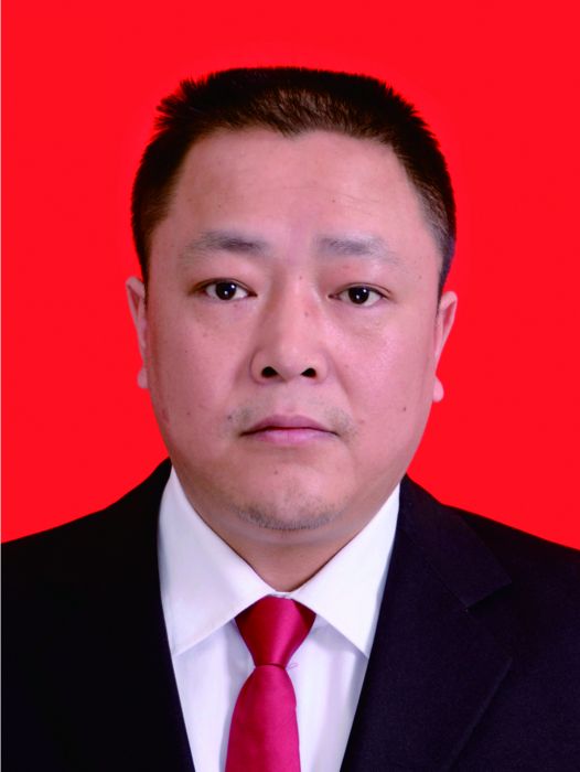 王勇(重慶市南川區山王坪鎮黨委委員、政法委員、副鎮長)