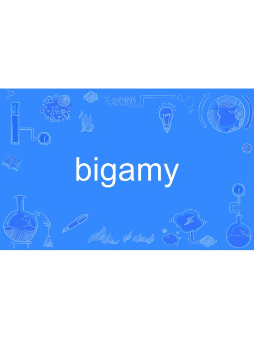 bigamy bigamy