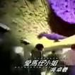 愛馬仕小姐 愛馬仕小姐