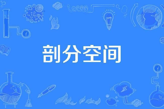 剖分空間 剖分空間