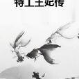 特工王妃傳 特工王妃傳