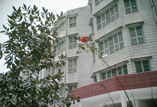 近桃國小 近桃國小