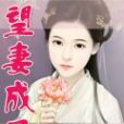 望妻成鳳 望妻成鳳