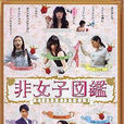 非女性圖鑑 非女性圖鑑