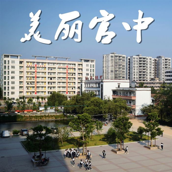 美麗官中 美麗官中