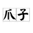 爪子 爪子