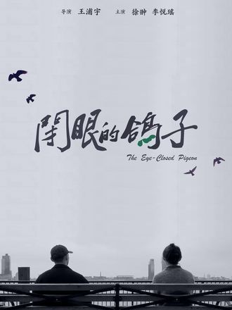 閉眼的鴿子 閉眼的鴿子