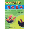青殼蛋雞 青殼蛋雞