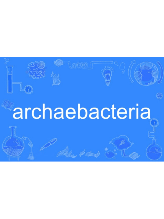 archaebacteria archaebacteria