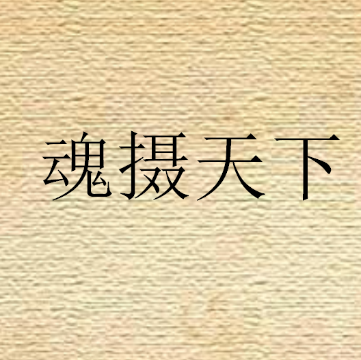 魂攝天下 魂攝天下