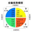HBDI全腦優勢 HBDI全腦優勢