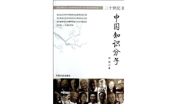 20世紀中國知識分子