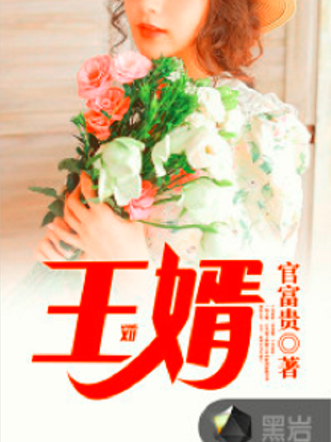 王婿(黑岩網小說) 王婿(黑岩網小說)