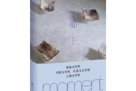 剎那(2021年浙江文藝出版社出版的圖書) 剎那(2021年浙江文藝出版社出版的圖書)