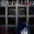 窺視之眸 窺視之眸