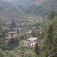 黃路村(雲南宣威市落水鎮下轄村) 黃路村(雲南宣威市落水鎮下轄村)